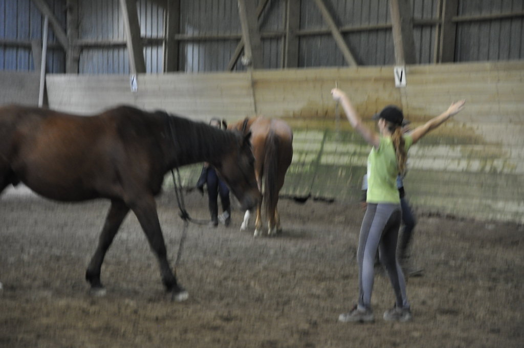 DSC9434.JPG