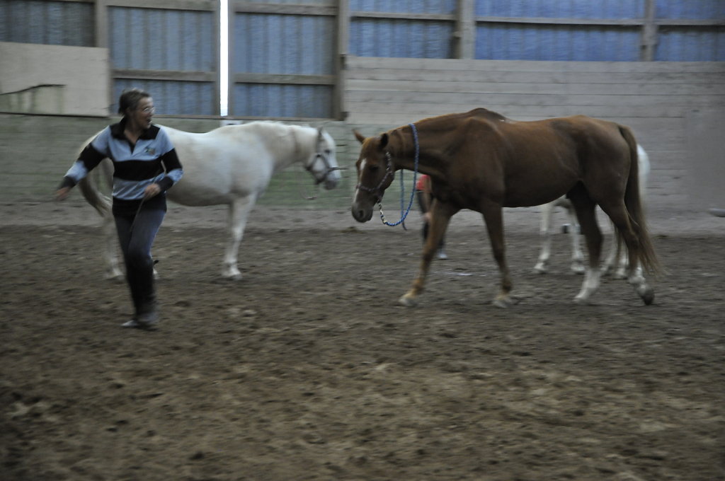 DSC9435.JPG