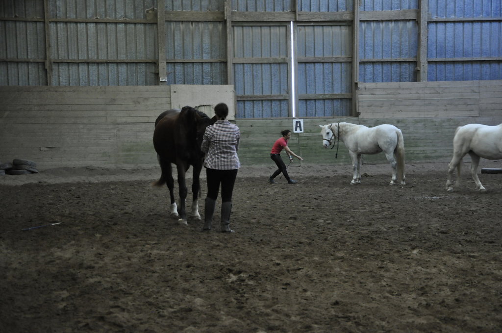 DSC9440.JPG