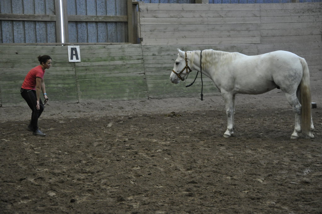 DSC9443.JPG