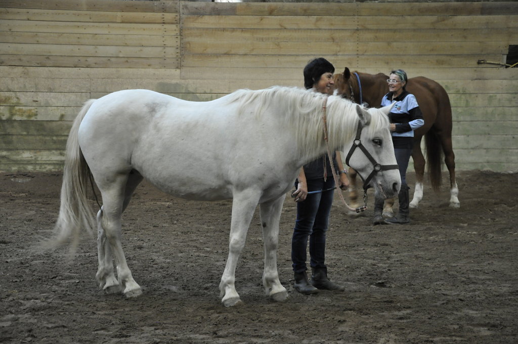 DSC9444.JPG