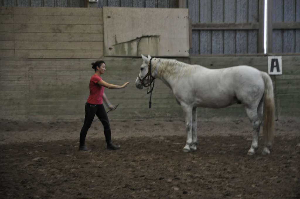 DSC9455.JPG