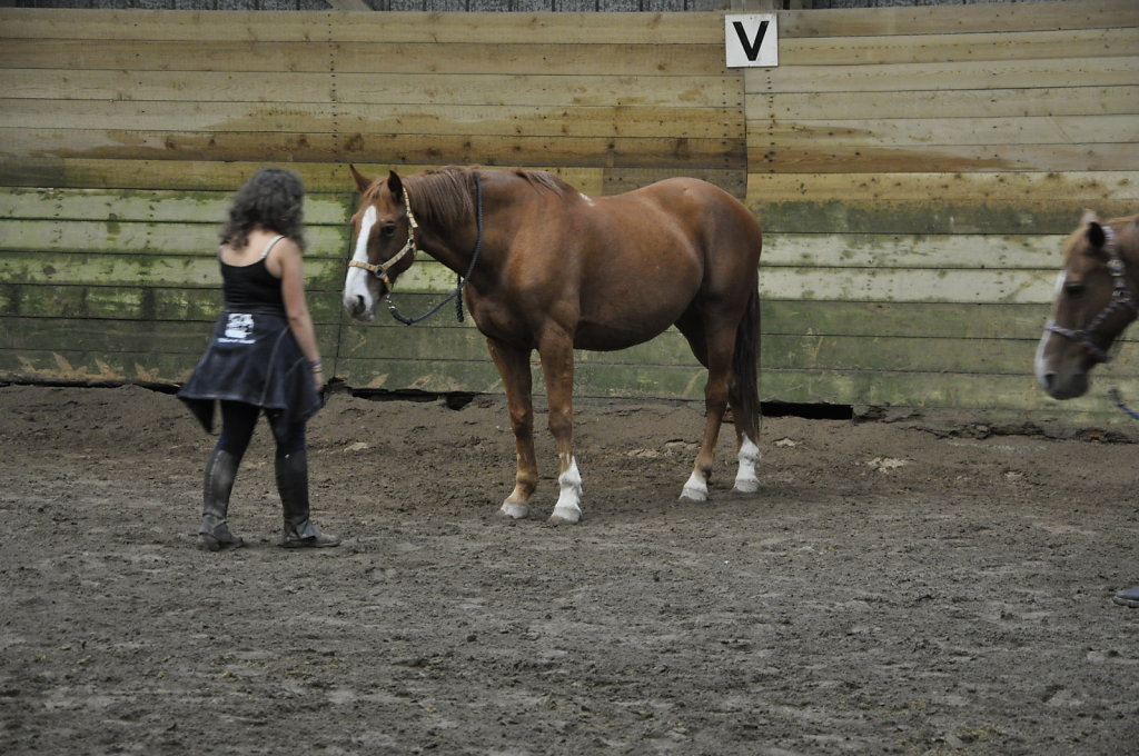 DSC9456.JPG