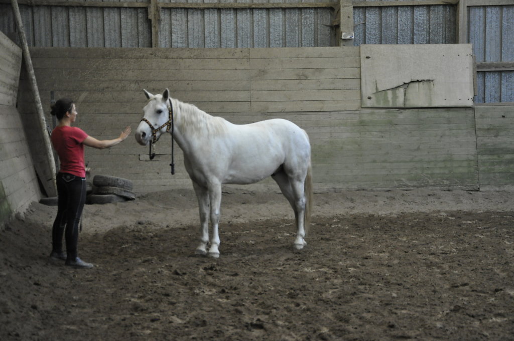 DSC9457.JPG
