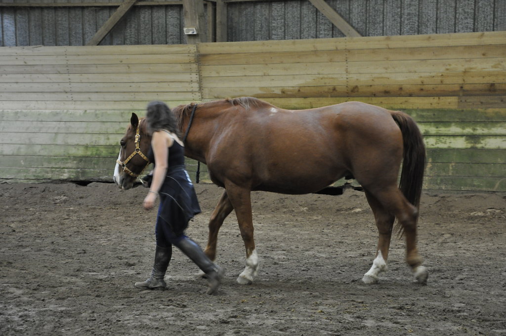 DSC9459.JPG