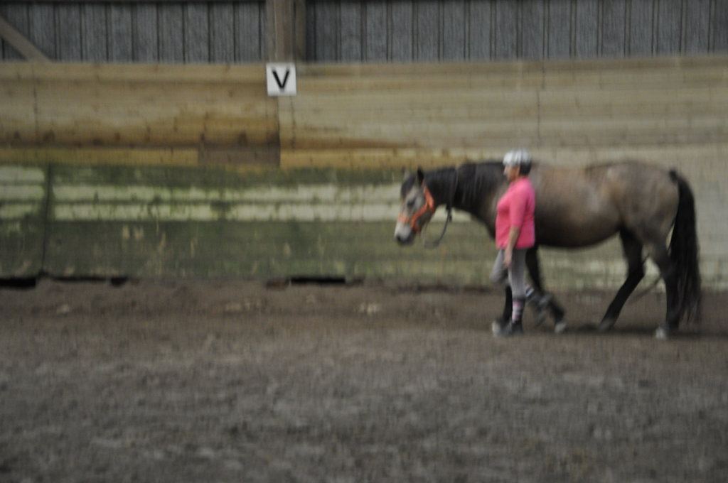 DSC9462.JPG