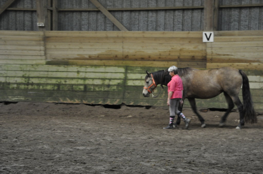 DSC9464.JPG