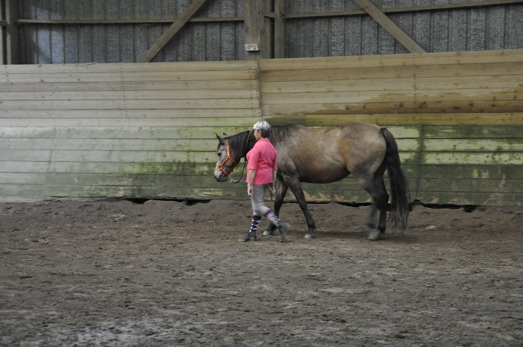 DSC9465.JPG