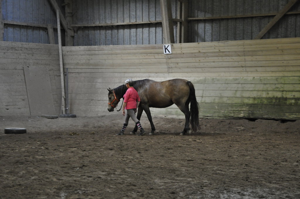 DSC9466.JPG