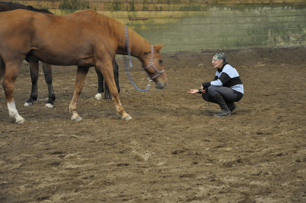 DSC9467.JPG