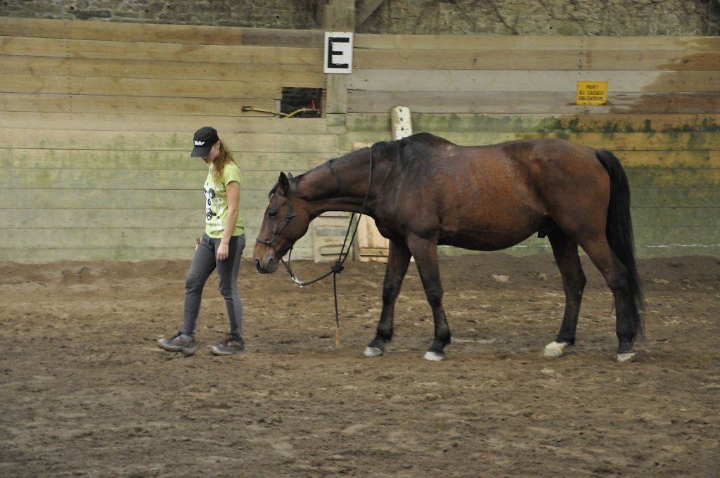 DSC9469.JPG