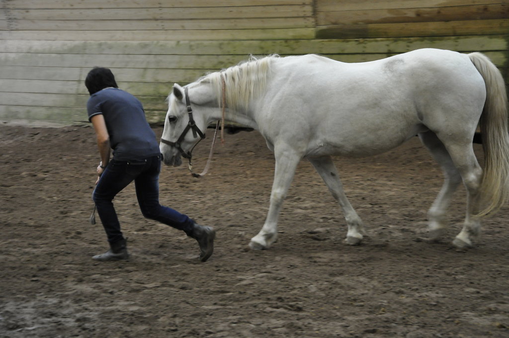 DSC9470.JPG