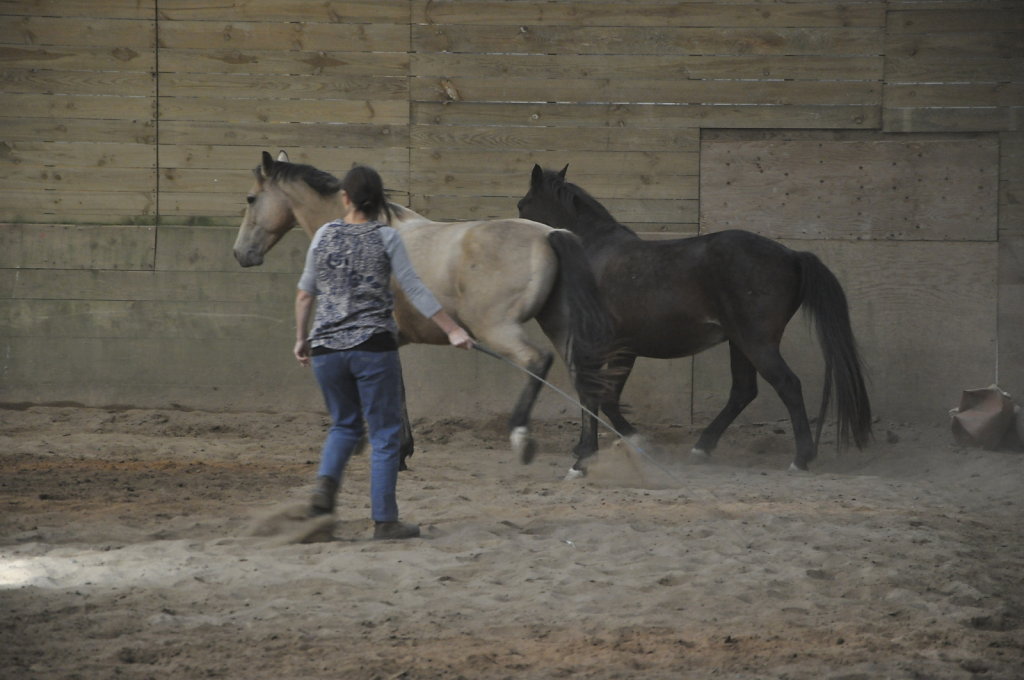 DSC9359.JPG