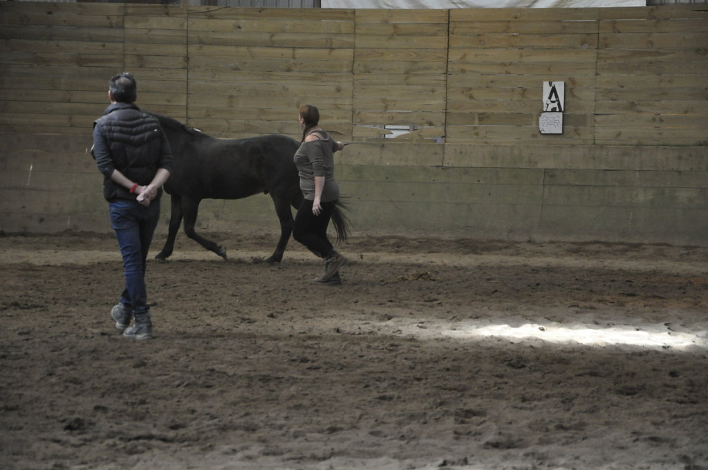 DSC9388.JPG