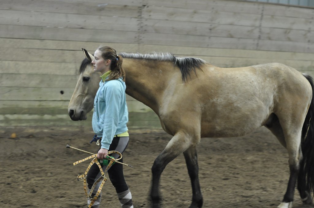 DSC8211.JPG