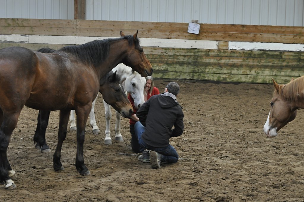 DSC8236.JPG