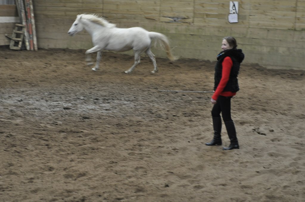 DSC8242.JPG