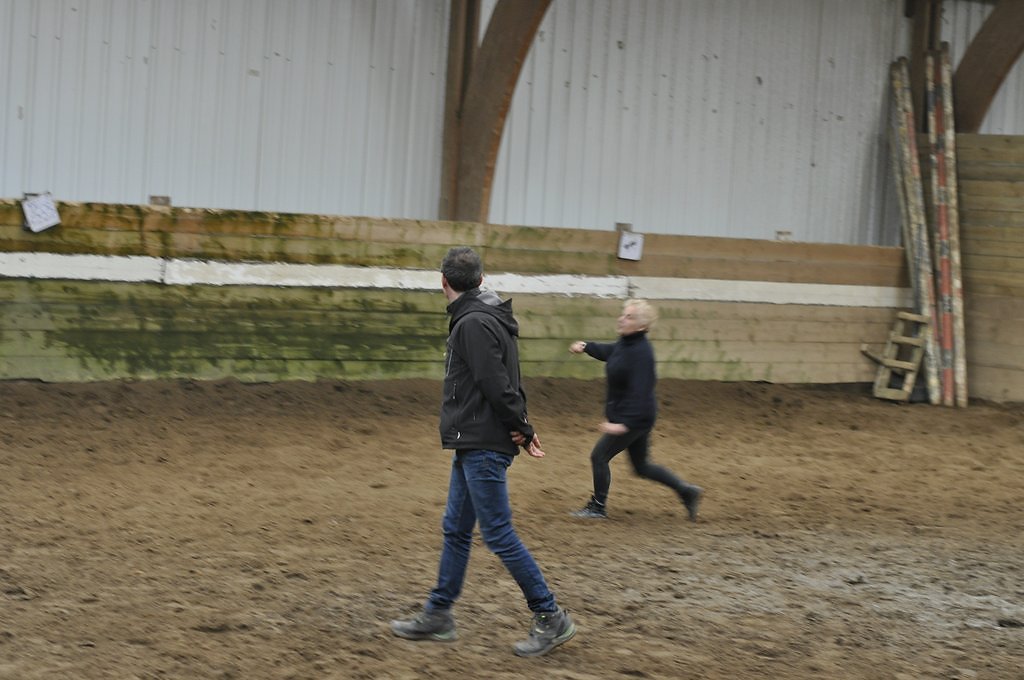 DSC8246.JPG