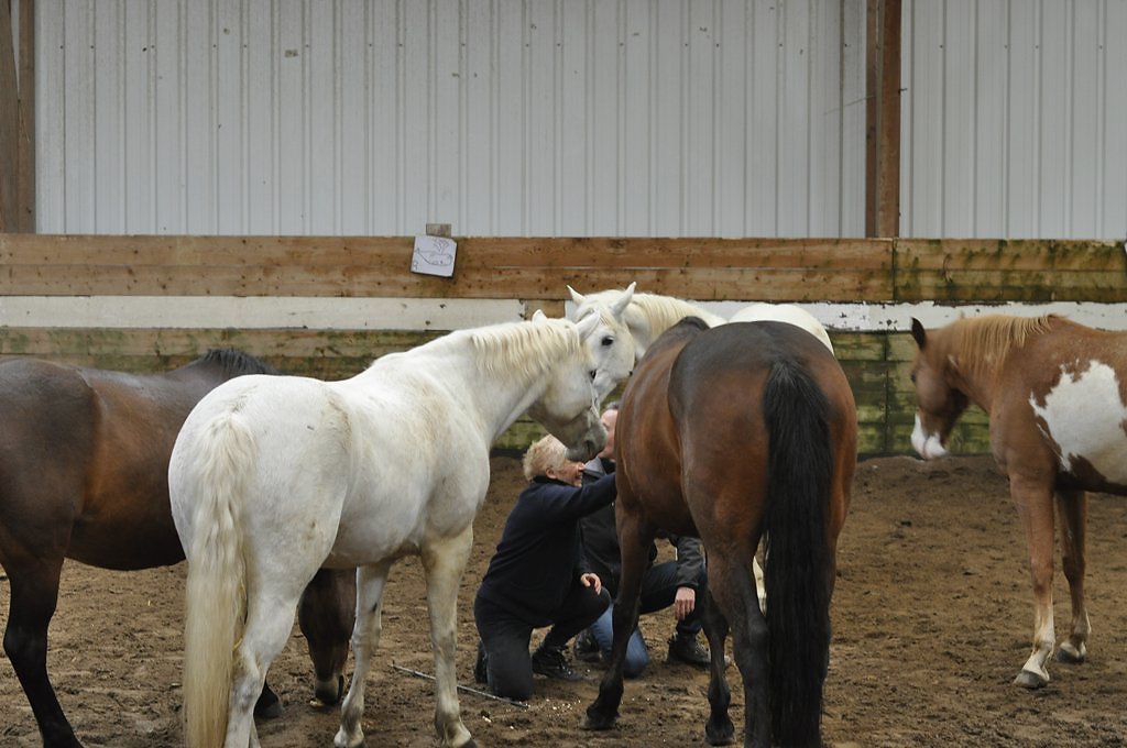 DSC8251.JPG