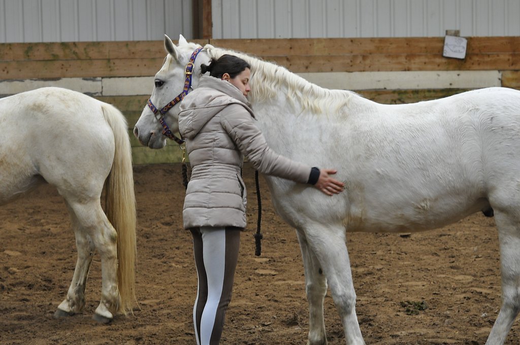 DSC8254.JPG
