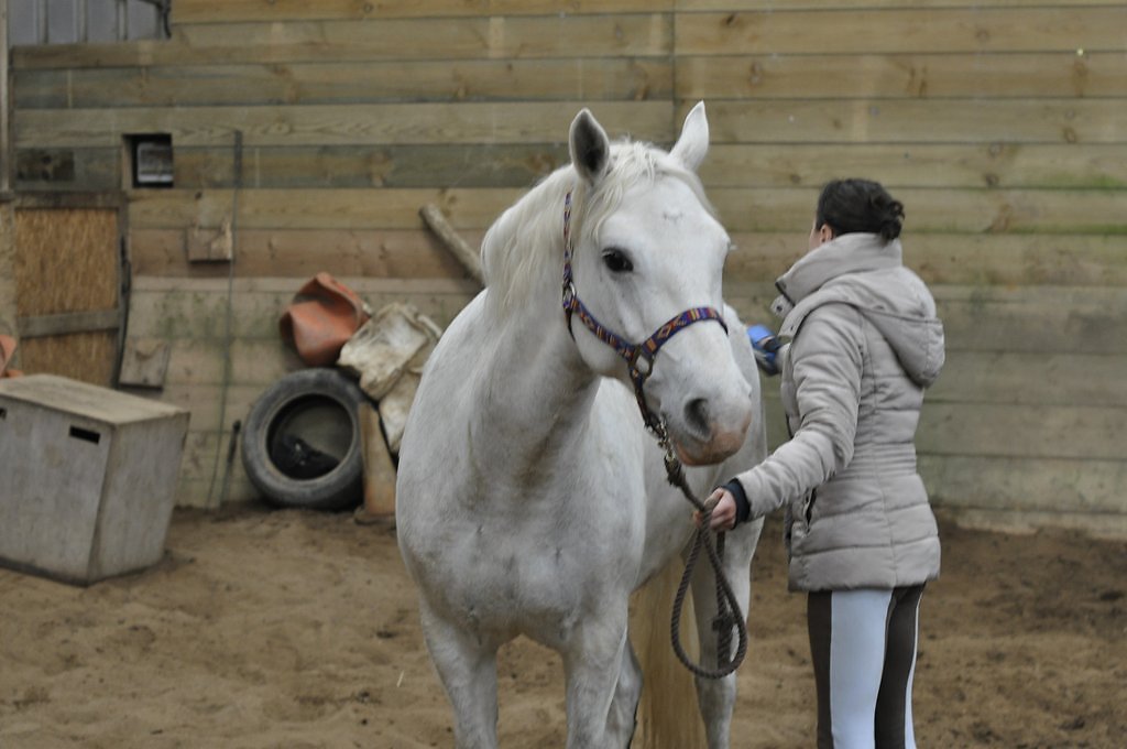 DSC8258.JPG