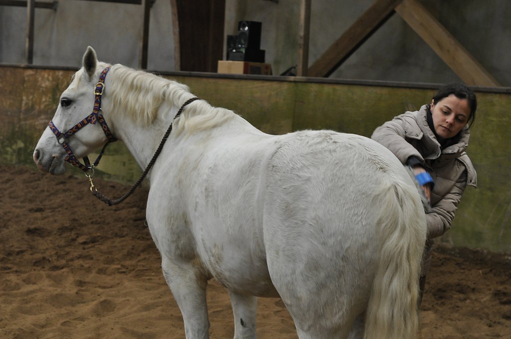 DSC8260.JPG