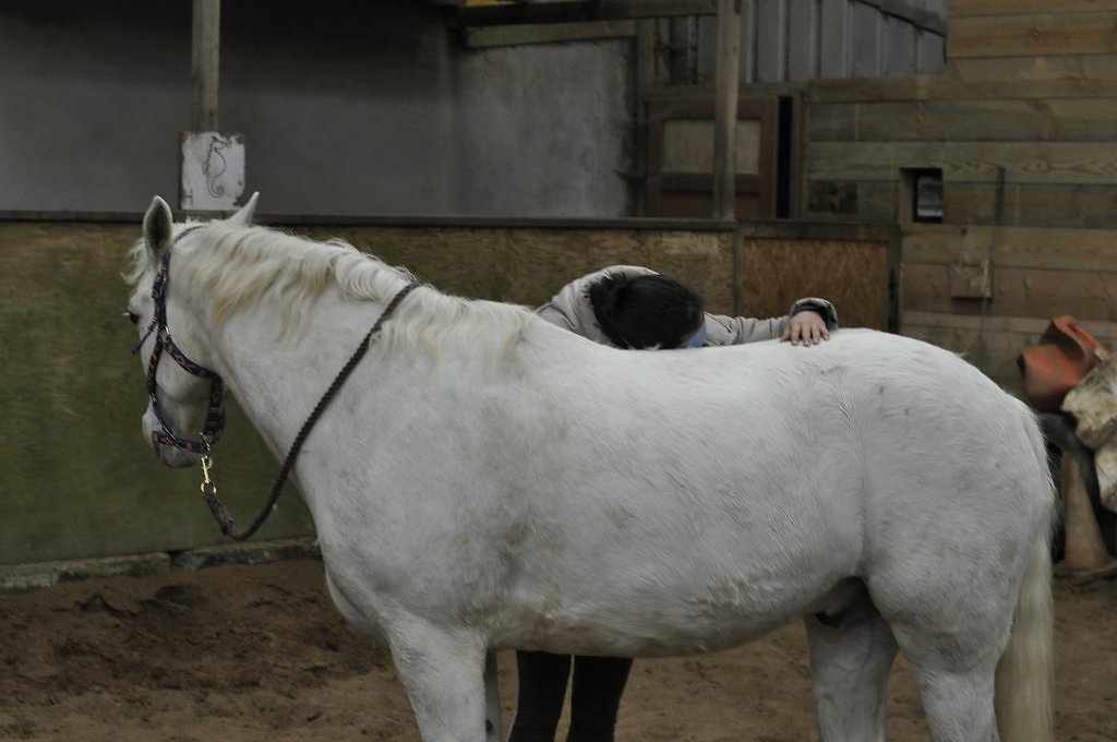 DSC8277.JPG