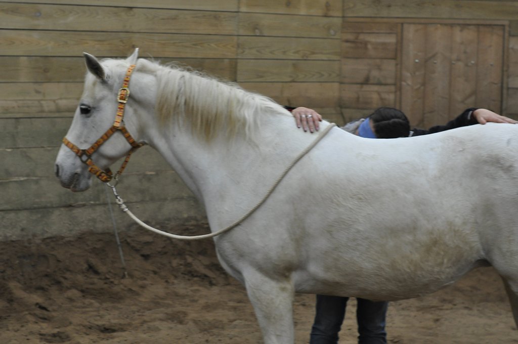 DSC8278.JPG