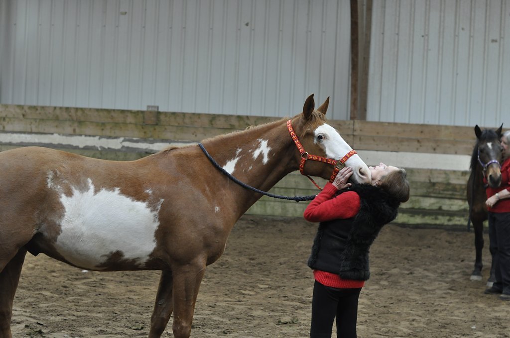 DSC8287.JPG