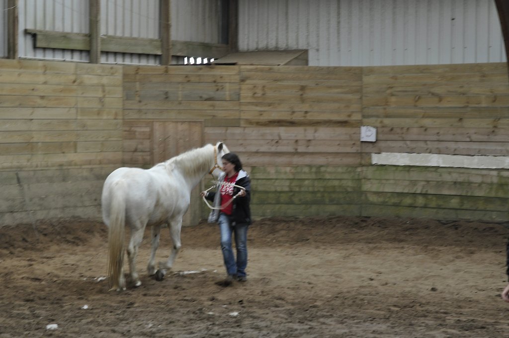 DSC8289.JPG