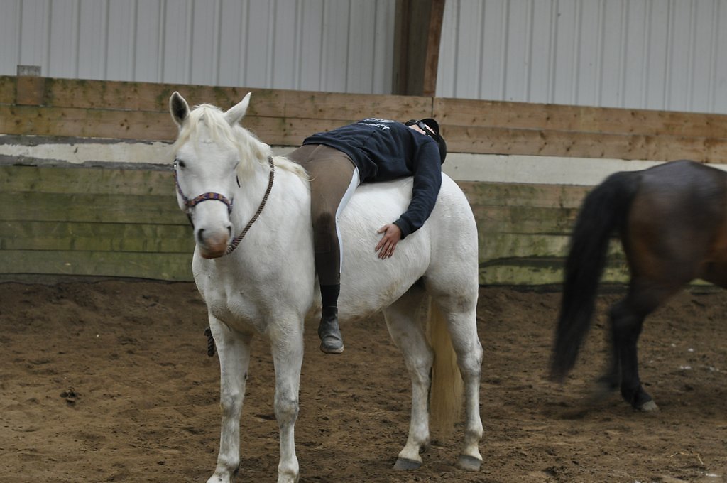 DSC8320.JPG