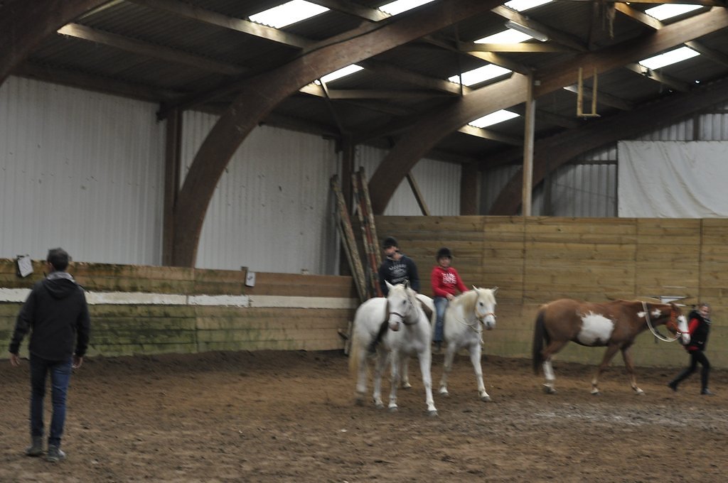DSC8326.JPG