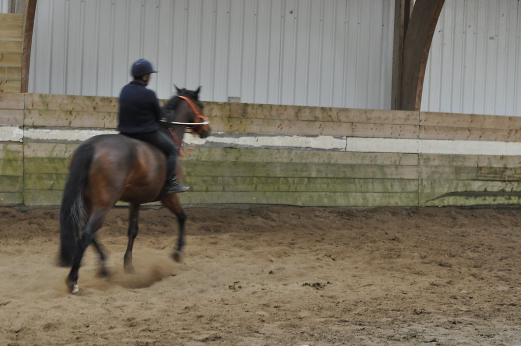 DSC8327.JPG