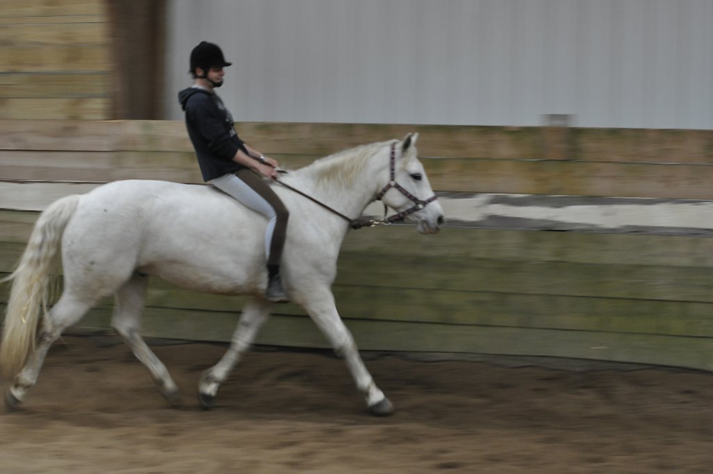 DSC8328.JPG