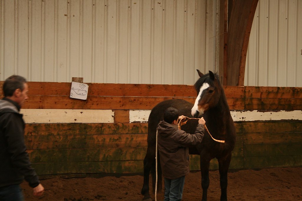 IMG-5056.JPG