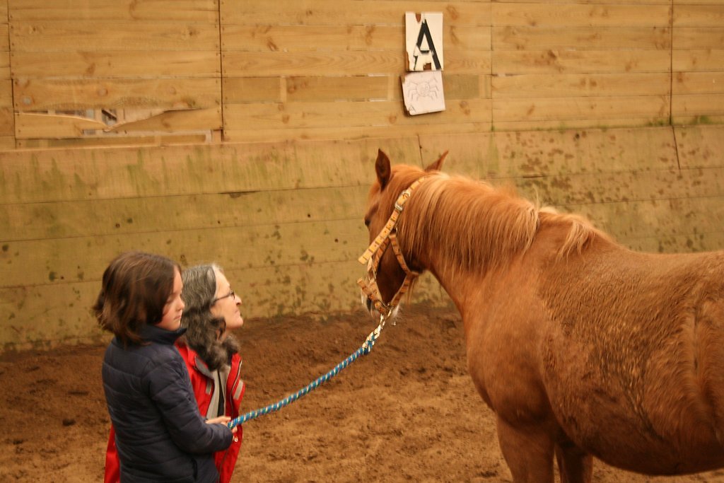 IMG-5063.JPG