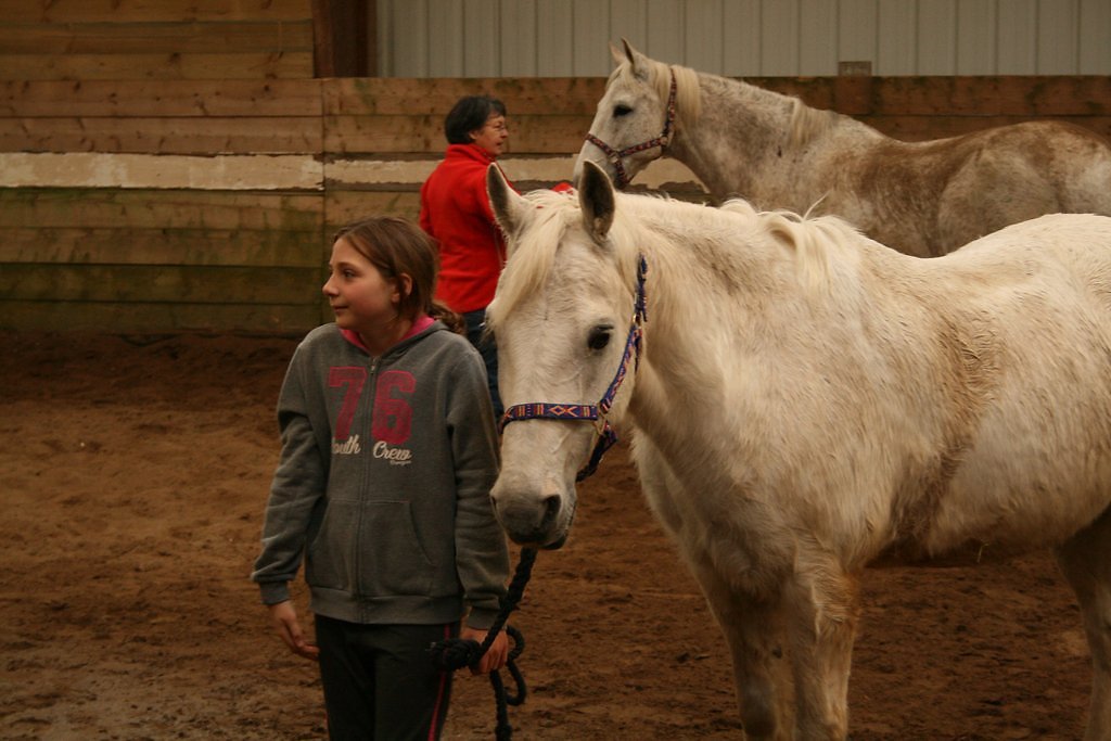 IMG-5069.JPG