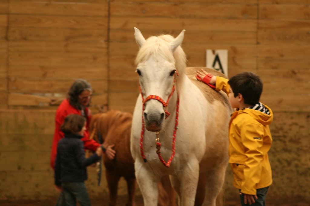 IMG-5078.JPG