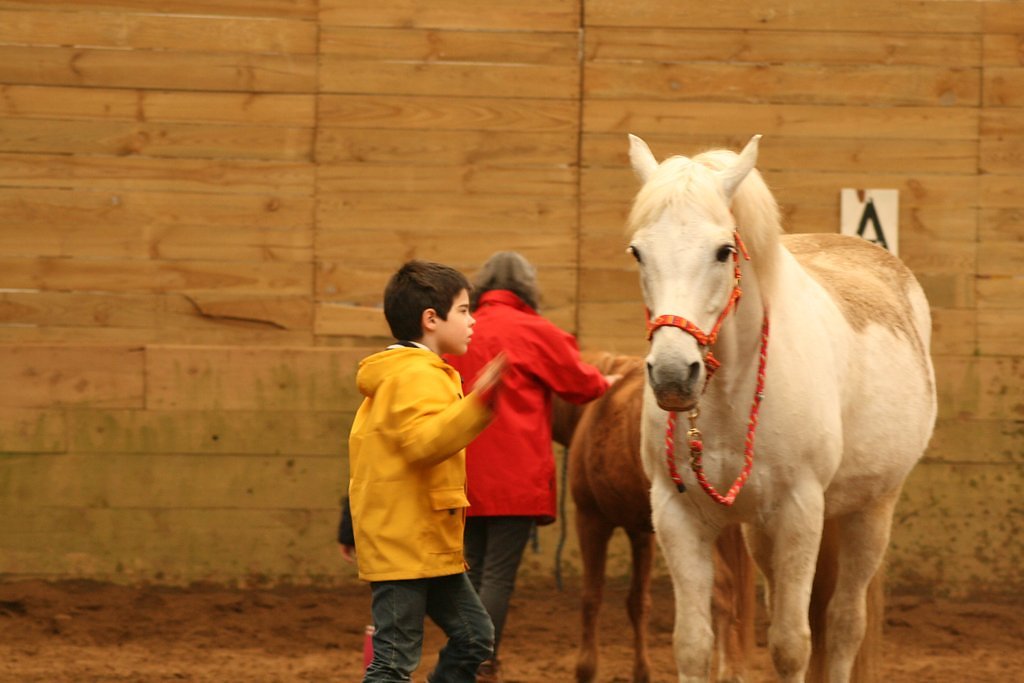 IMG-5080.JPG