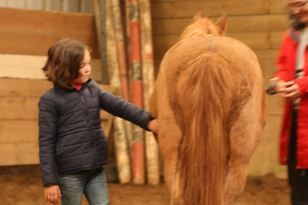 IMG-5089.JPG