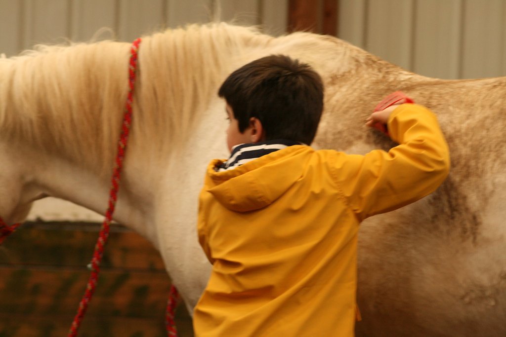 IMG-5094.JPG