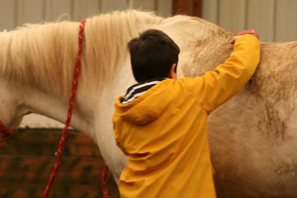 IMG-5095.JPG