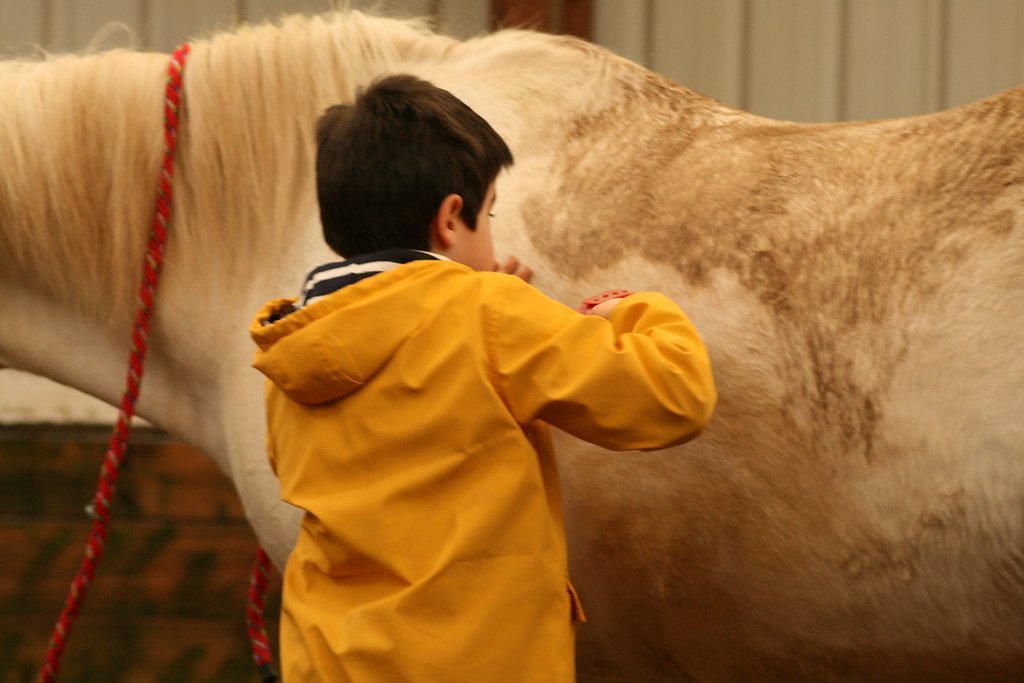 IMG-5096.JPG