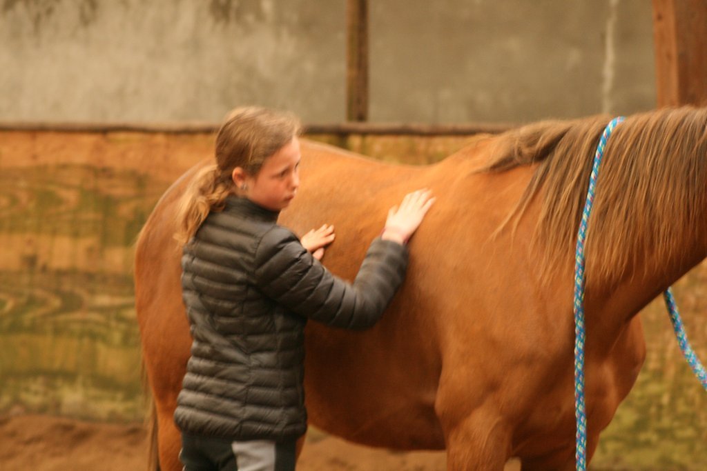 IMG-5104.JPG