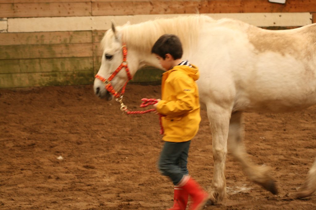 IMG-5153.JPG