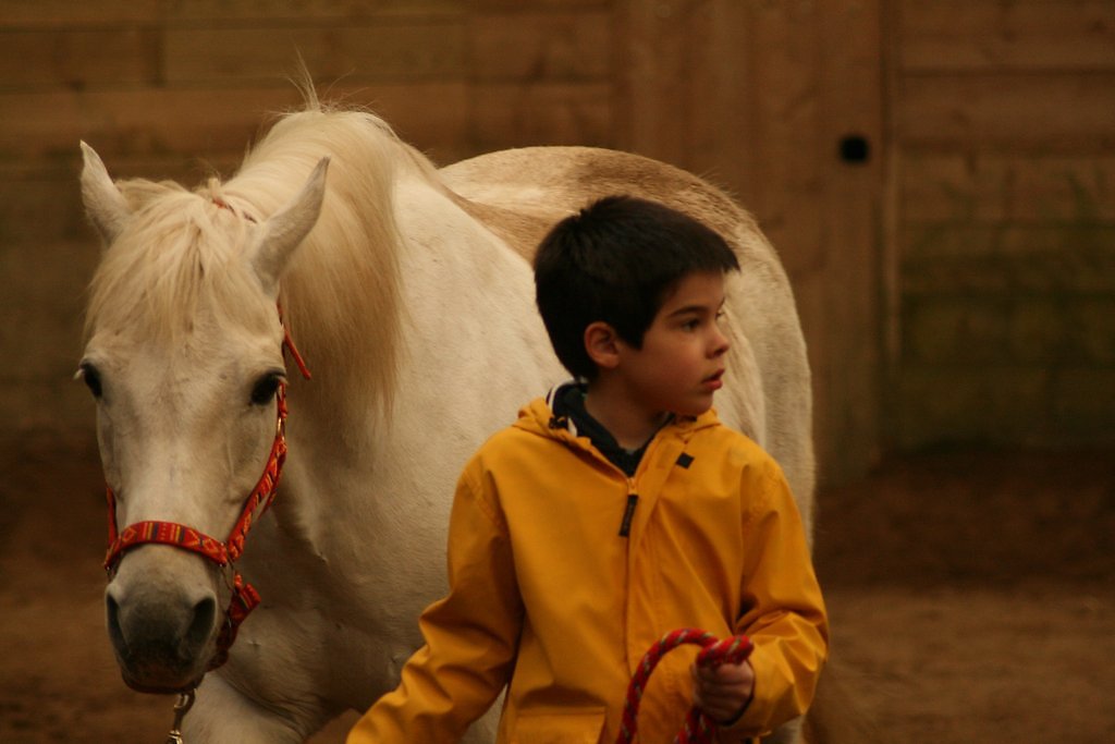 IMG-5170.JPG
