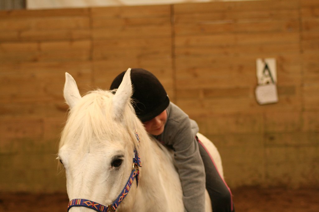 IMG-5230.JPG