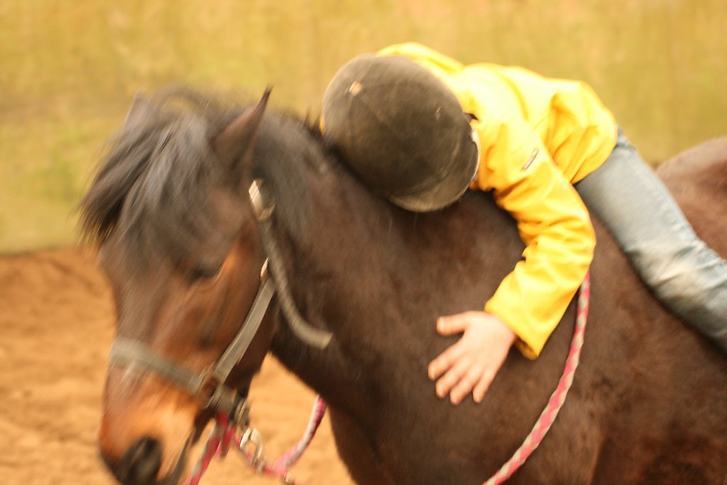 IMG-5231.JPG