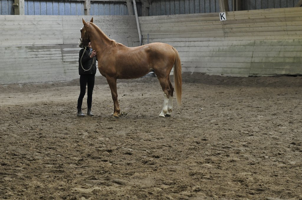 DSC8064.JPG
