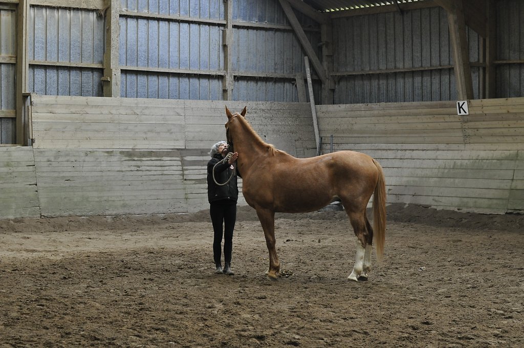 DSC8065.JPG